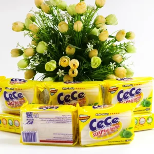 200g*48 Fast Delivery Lasting Fragrance Washing Soap Bar Detergent Manufacturer
