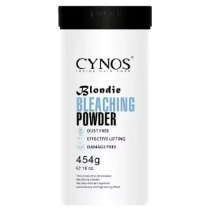 Private Label Bleach Powder Professional Hair Bleaching Powder Dust Free Blue Bleach Powder for Hair Color Dye