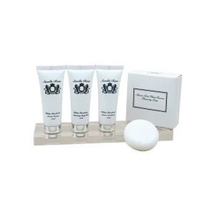 3-5 Star Hotel Disposable Supplies Mini Shampoo & Conditioner Set with Custom Logo Color & Fragrance