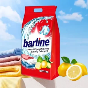 OEM ODM 20pcs High Foam Eco Friendly Lemon Fragrance Disposable Laundry Detergent Powder for Hand Wash Buy Online